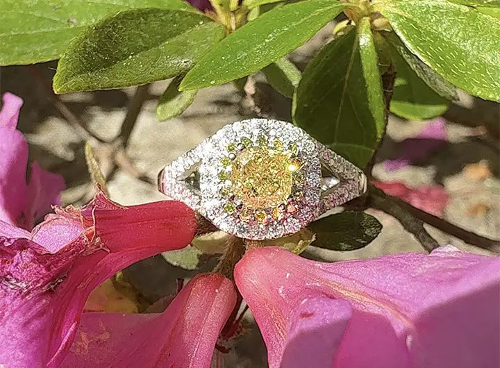 cuore di sole fancy yellow