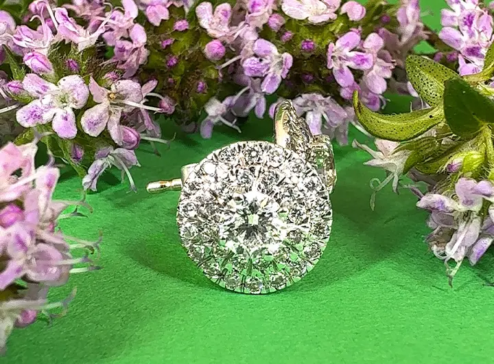 gioia radiante round brilliant