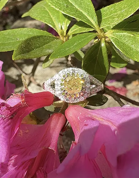 sogni proibiti gioielleria